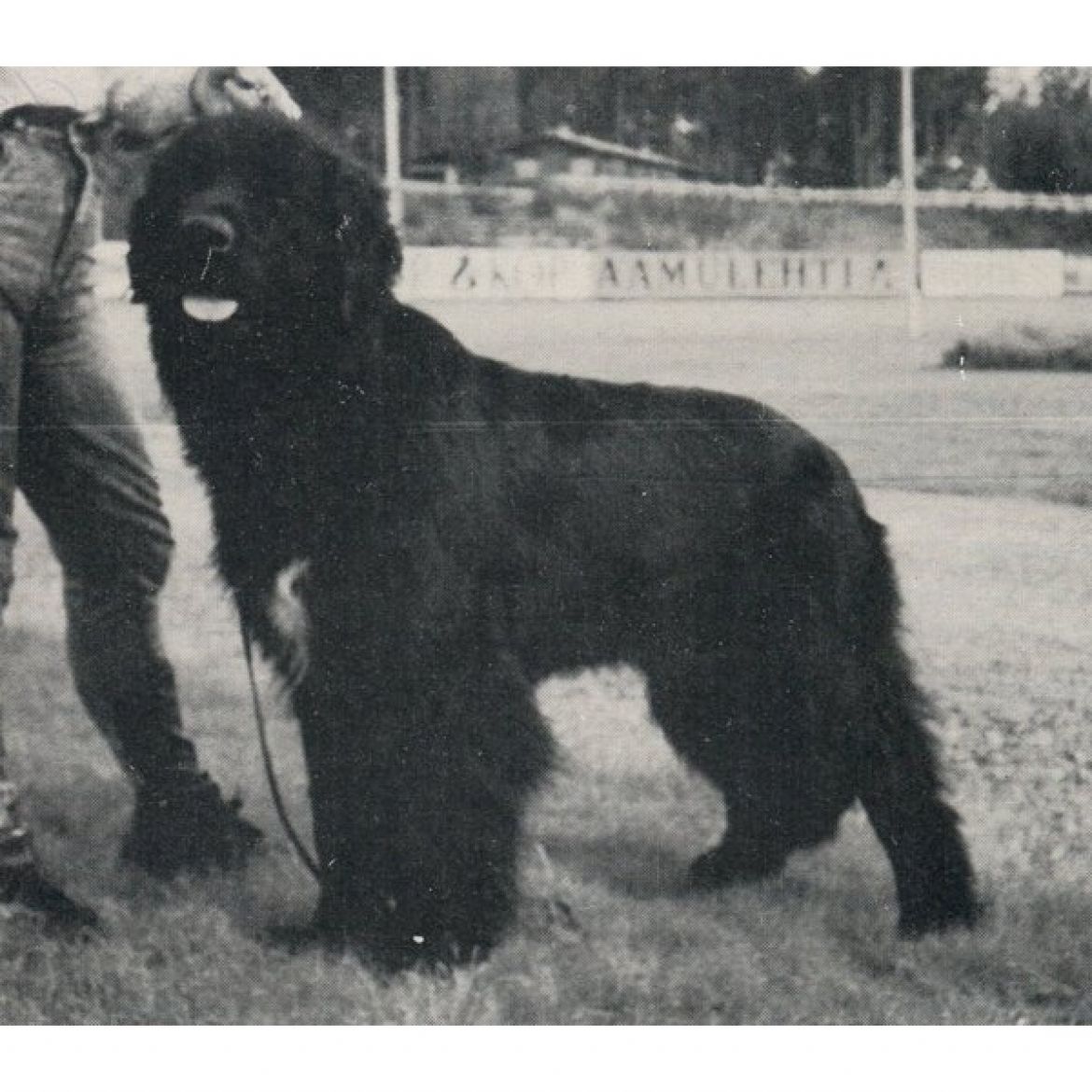R Amoradas Flying High (17-05-1988)